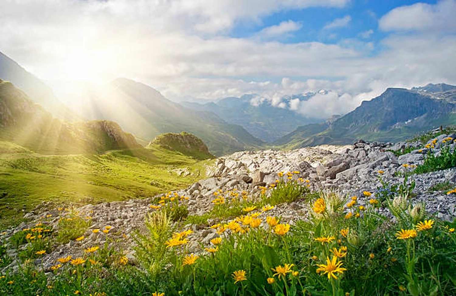 Bestattung Die letzte Umarmung - Bestatter - eine wunderschöne Aussicht