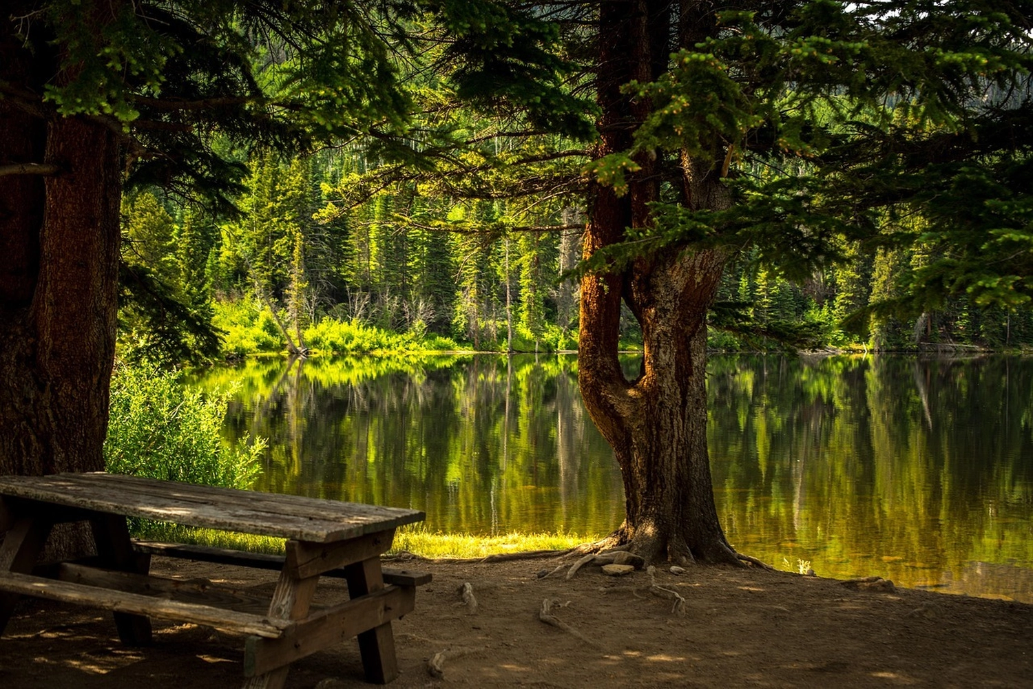 Bestattung Die letzte Umarmung - Bestatter - Wald