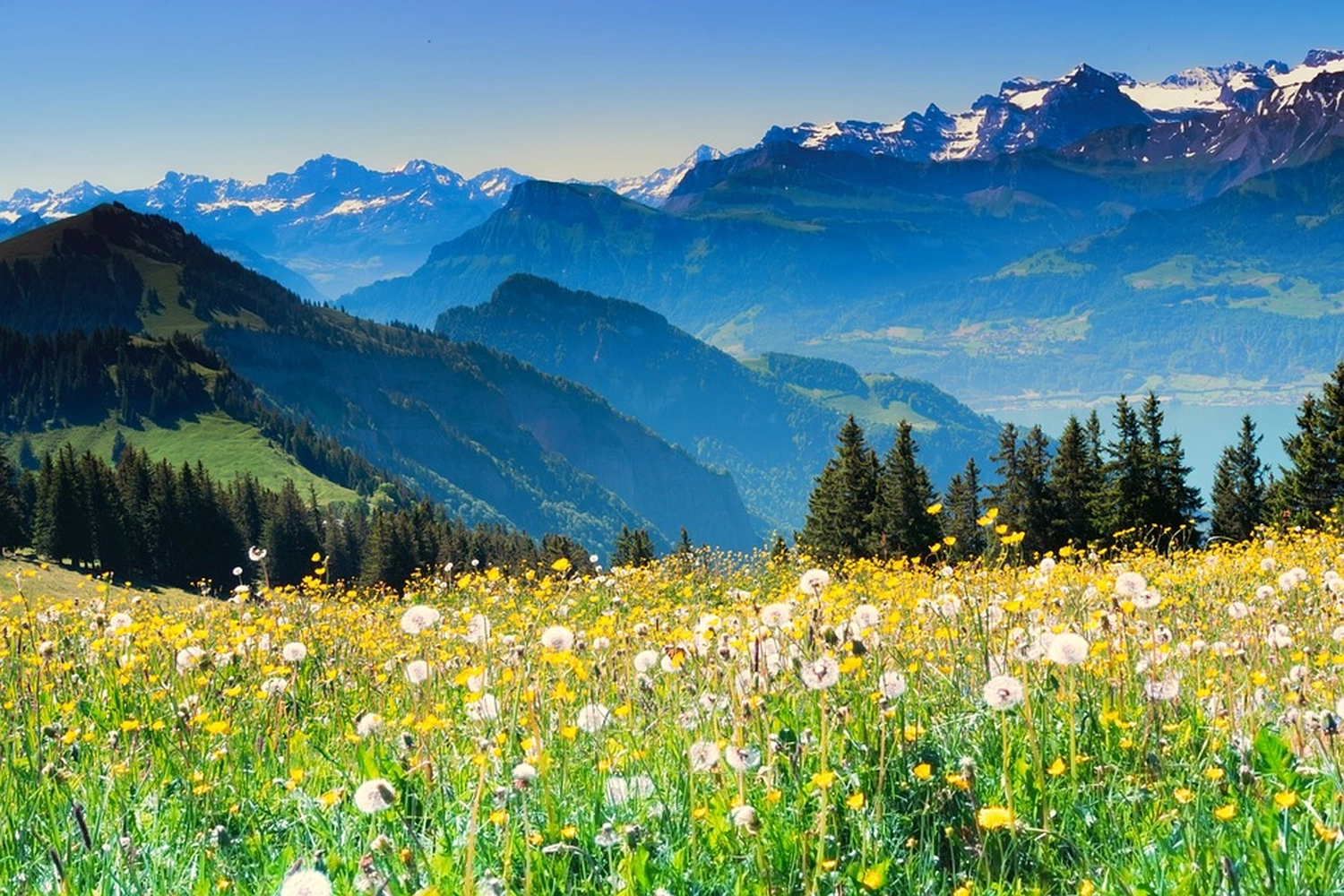 Bestattung Die letzte Umarmung - Bestatter - eine wunderschöne Aussicht