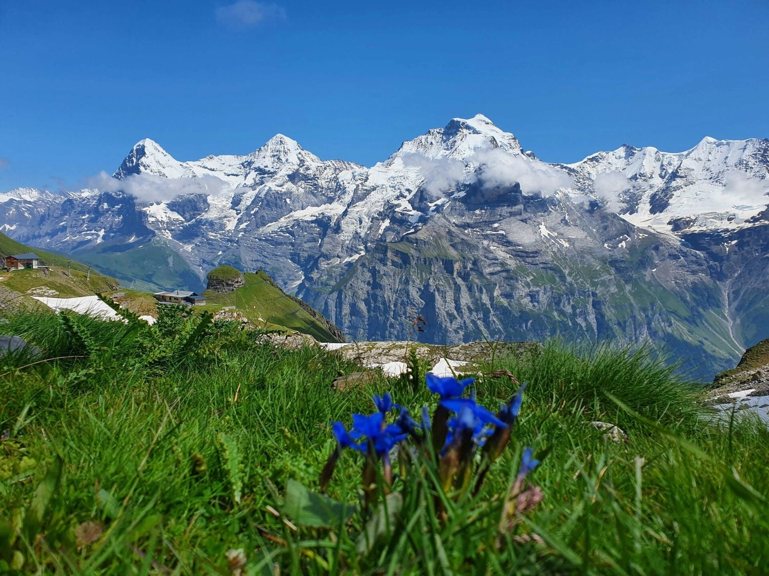 Bestattung Die letzte Umarmung – Bestatter – Dieses Bild zeigt eine malerische Aussicht auf die Schweizer Alpen, insbesondere mit den berühmten Gipfeln der Berner Oberlandregion.