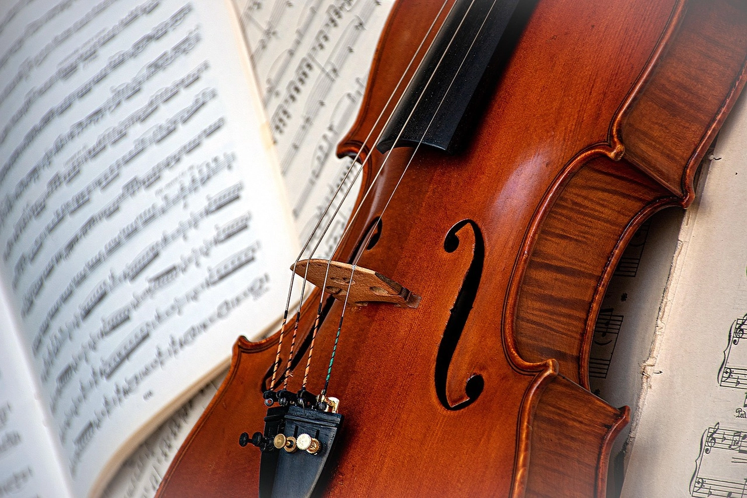 Bestattung Die letzte Umarmung – Bestatter – Dieses Bild zeigt eine Violine, ein Saiteninstrument, das dafür bekannt ist, dass es eine präzise Fingerplatzierung und Hörfähigkeiten erfordert, um die Tonhöhengenauigkeit zu entwickeln.